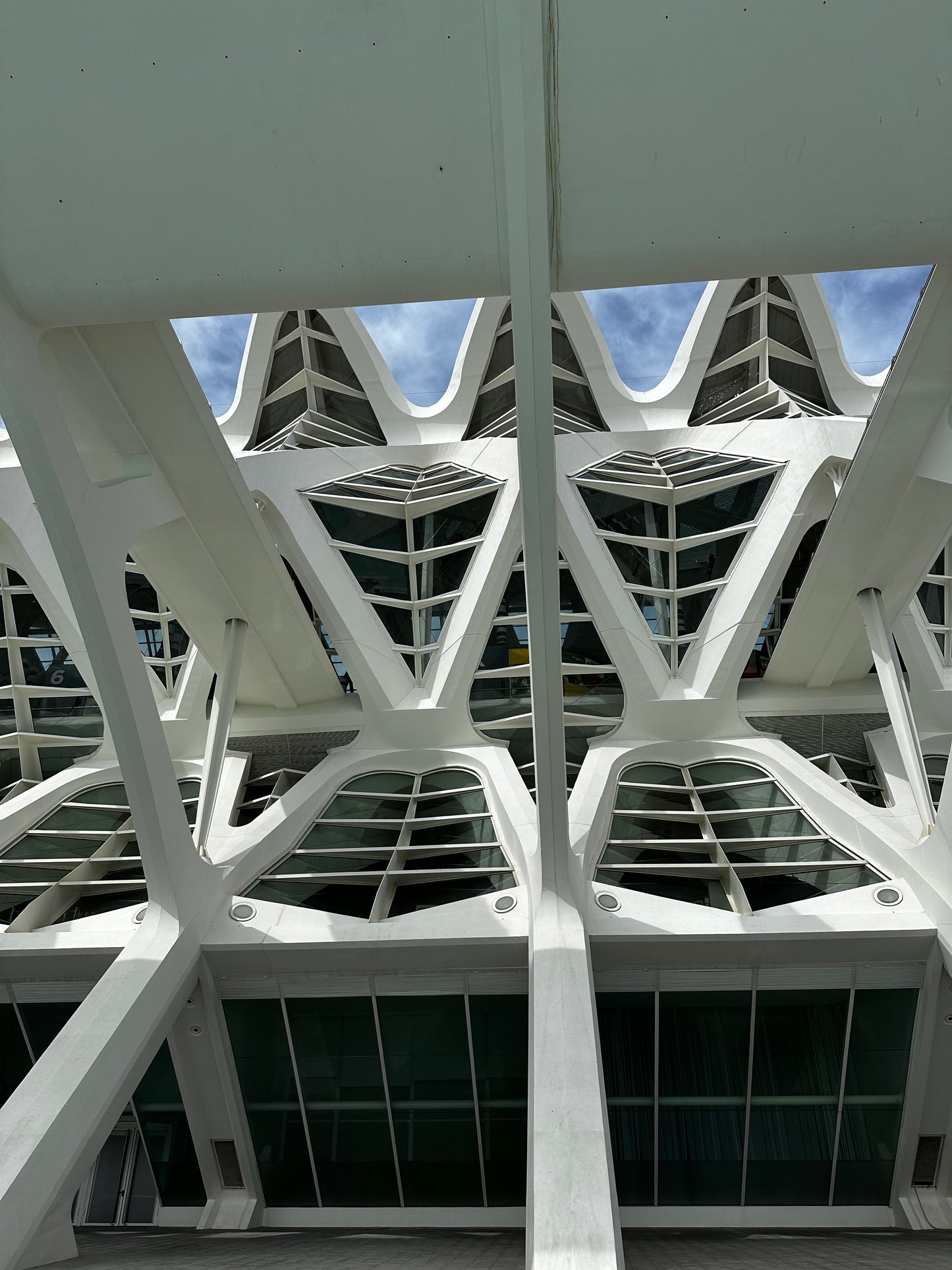 Valencia 'Like a Local' Cruise Shore Excursion Experience & Verrassingen