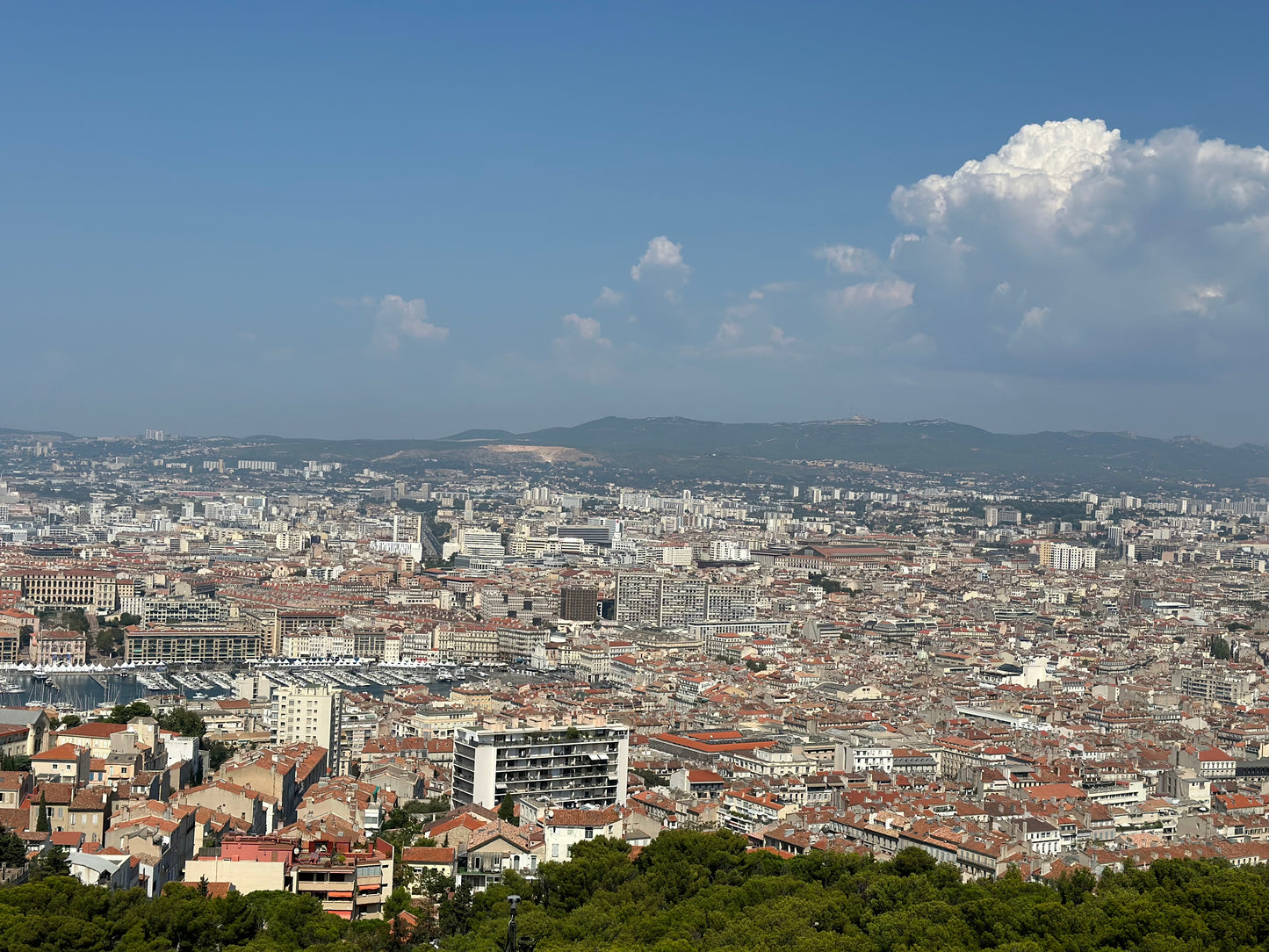Marseille Shore Excursion. North African & French Cuisine and Culture