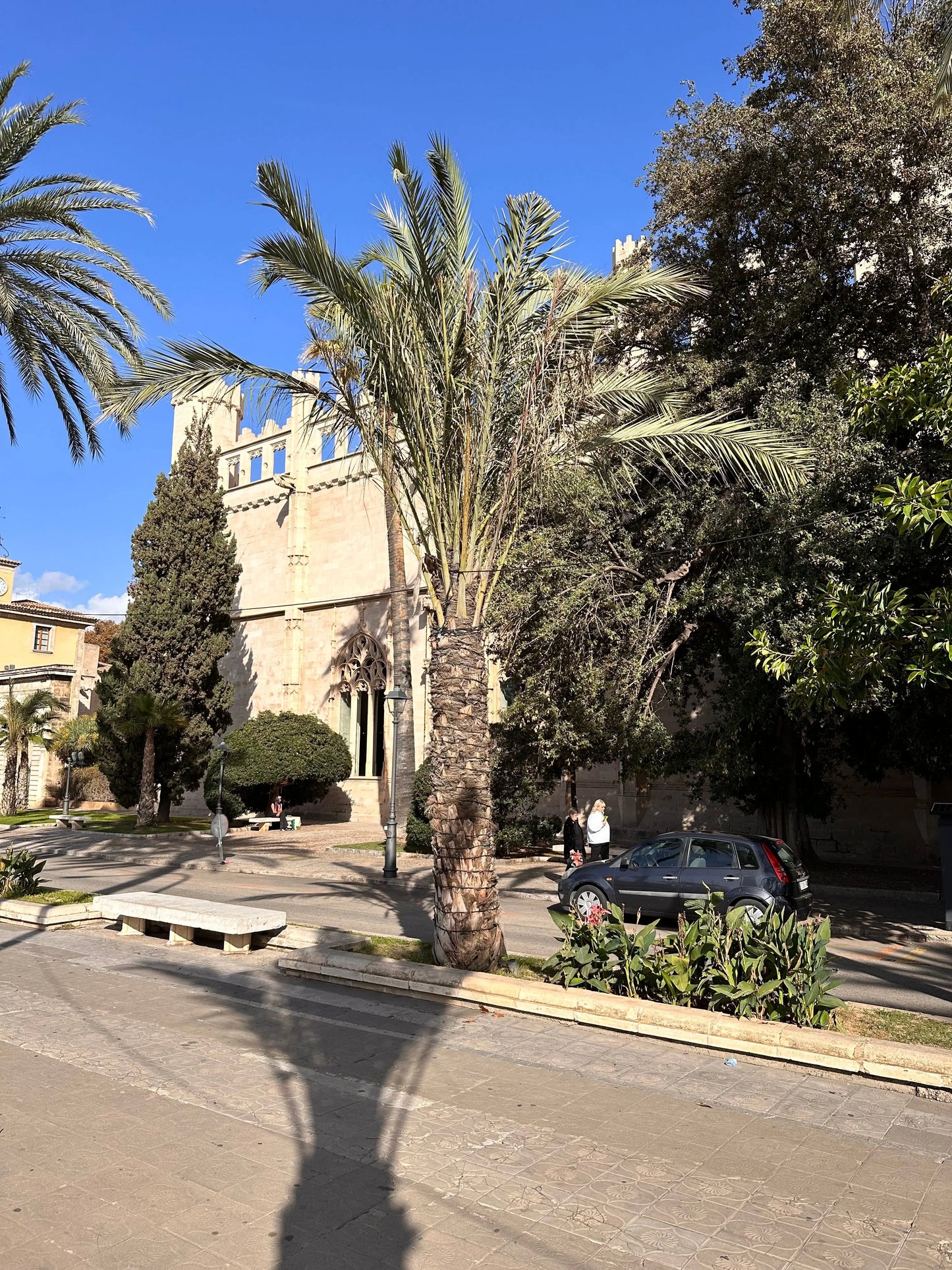 Shared Mallorca Shre Excursion Shore Excursions To Go