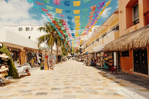 Shared Cozumel Shore Excursions. Mexico.