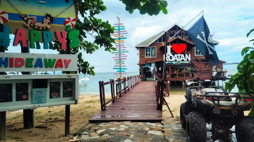 Shared Roatan, Honduras Shore Excursions