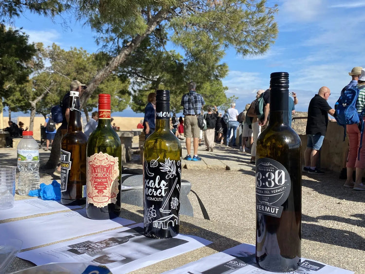 Alicante Social Shore Excursions