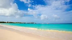 Beach Life Excursion Experiences