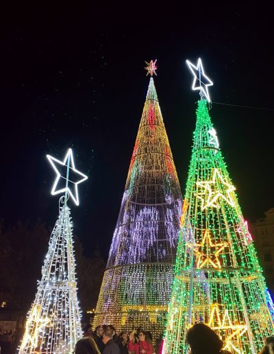 Weihnachten in Valencia: Private Terrasse, Koch, Musik, Lebensmittelmarkt und Feuerwerkskörper