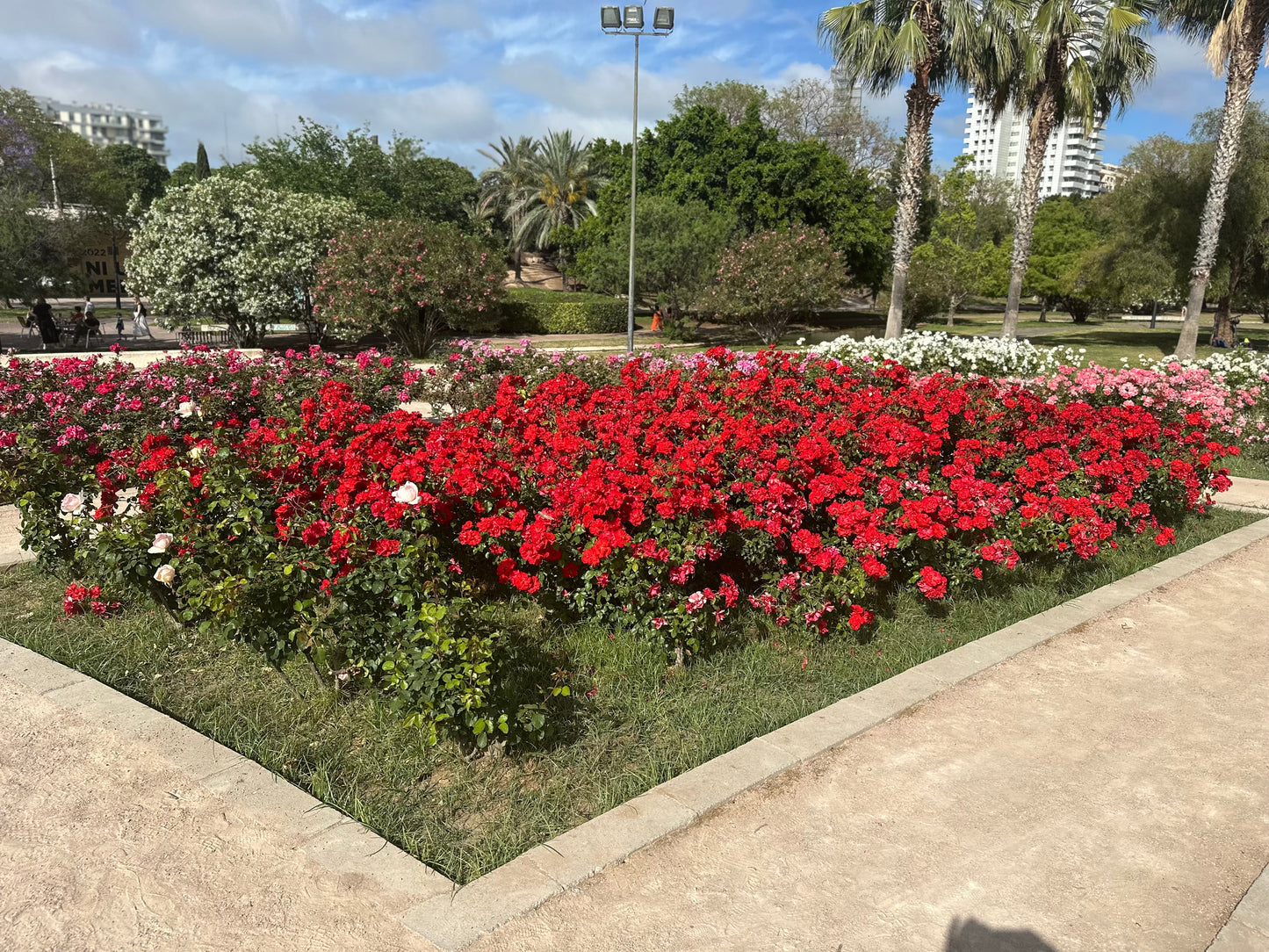 Valencia 'Like a Local' Cruise Shore Excursion Experience &amp; Verrassingen