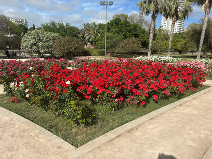 Valencia 'Like a Local' Cruise Shore Excursion Experience &amp; Verrassingen