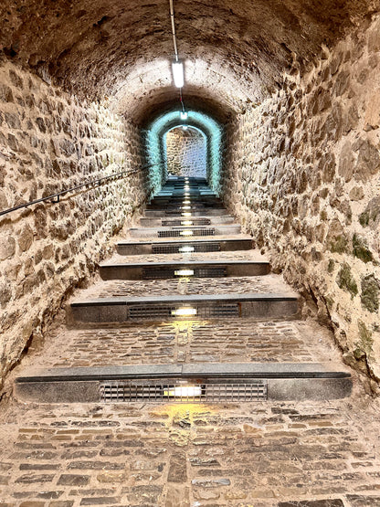 Ibiza Bodega Tapas, Wein, lokaler Lebensmittelmarkt &amp; Schloss &amp; Feuerwerkskörper. Sparen Sie 40 %