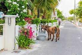 Shared Grand Turk Island