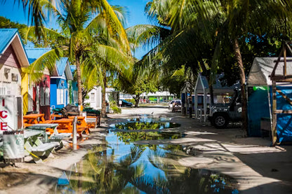 Shared Barbados Christmas Special Shore Excursion Experience