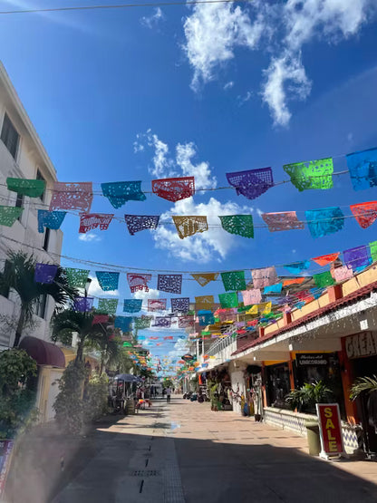 Shared Cozumel Shore Excursions. Mexico.