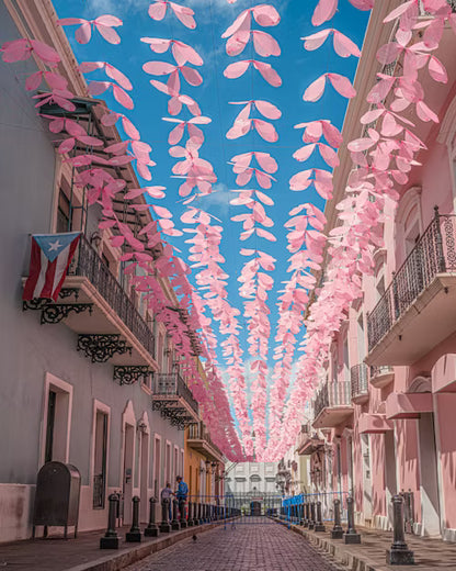 Shared San Juan. Puerto Rico Shore Excursions