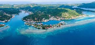 Shared St Kitts Like a Local Shore Excursions